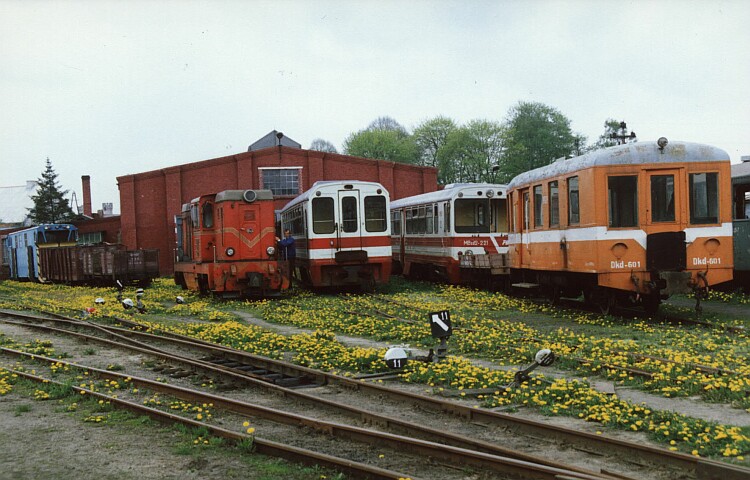 MBxd2-221 i Lxd2-243, Lisewo Wąsk., 8.05.1992, foto Marek Malczewski